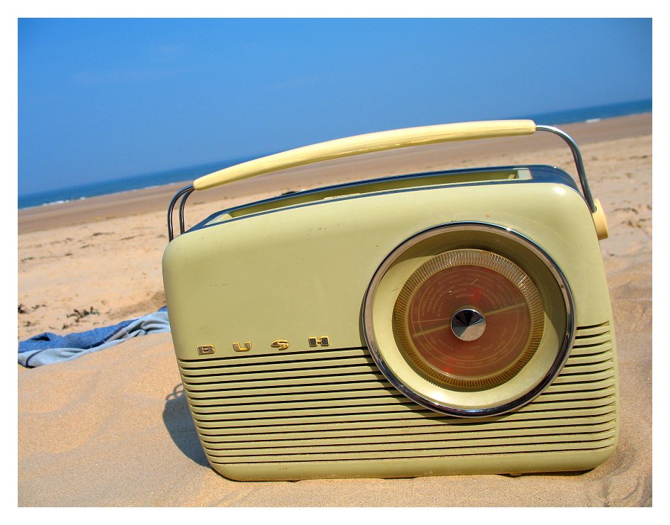 Beach Blanket Bongout by BabyShambles on DeviantArt