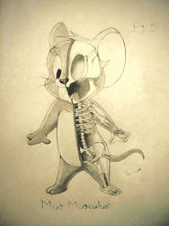 Anatomical Study #5: Mus Musculus (Jerry Mouse)