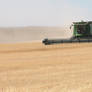 Harvest in the New well South Dakota