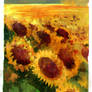 Sunflowers - Sketch