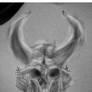 horn skull 