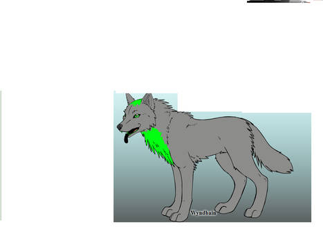 LICKY (made by wyndbains wolf creator)