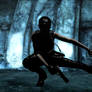 Lara's Shadow fighting