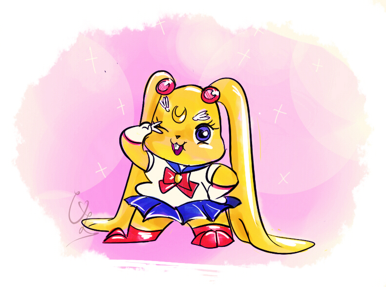 Bunny Sailor Moon