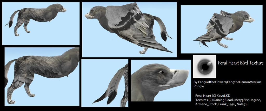 FeralHeart Bird Texture