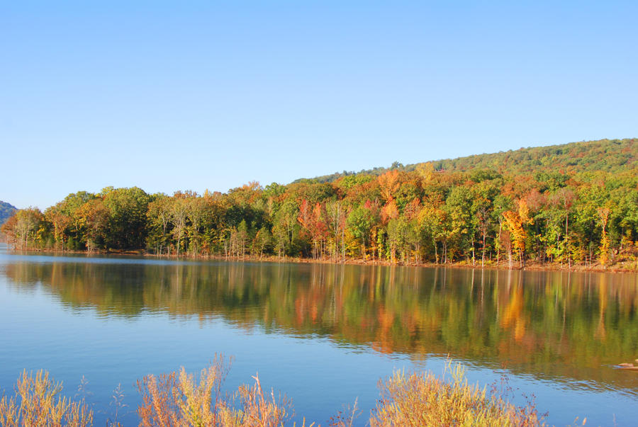 Fall Reflections