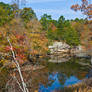 Autumn Reflections