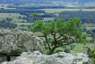 Petit Jean Mtn.