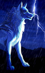 Wolf under a thunderstorm