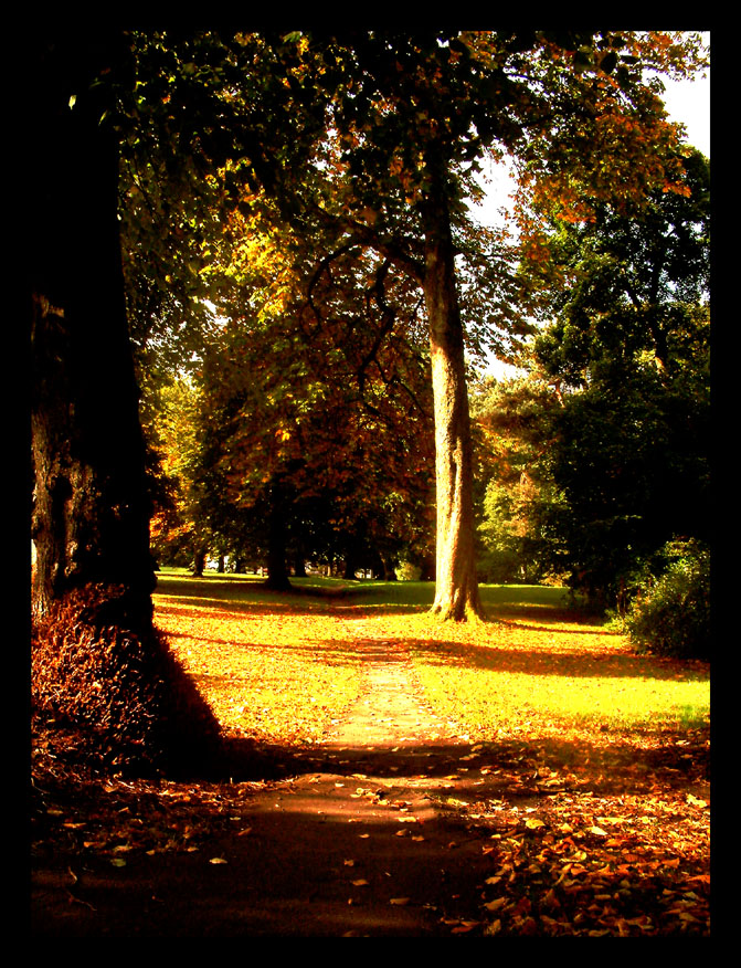 Autumn colours