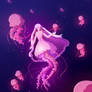 Mermay 2020 - Week 4 - Jellyfish mermaid