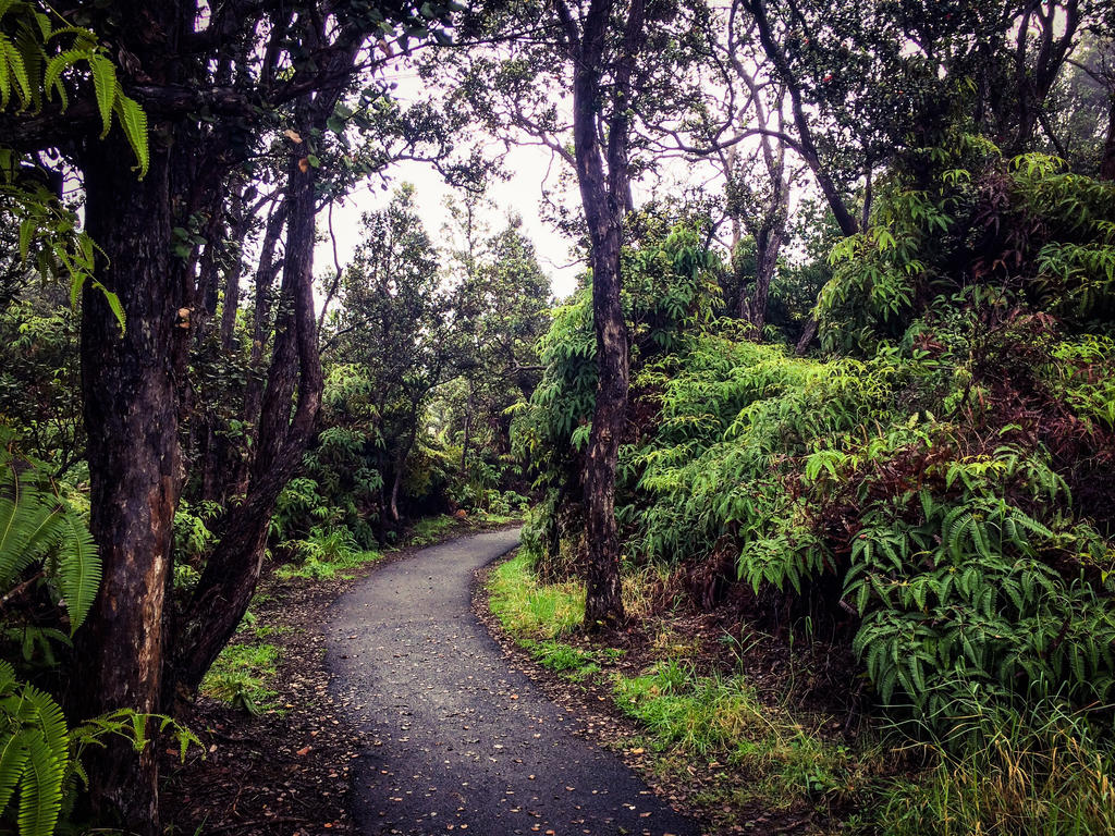 Jungle path by HomelessBrony on DeviantArt