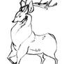 stag sketch