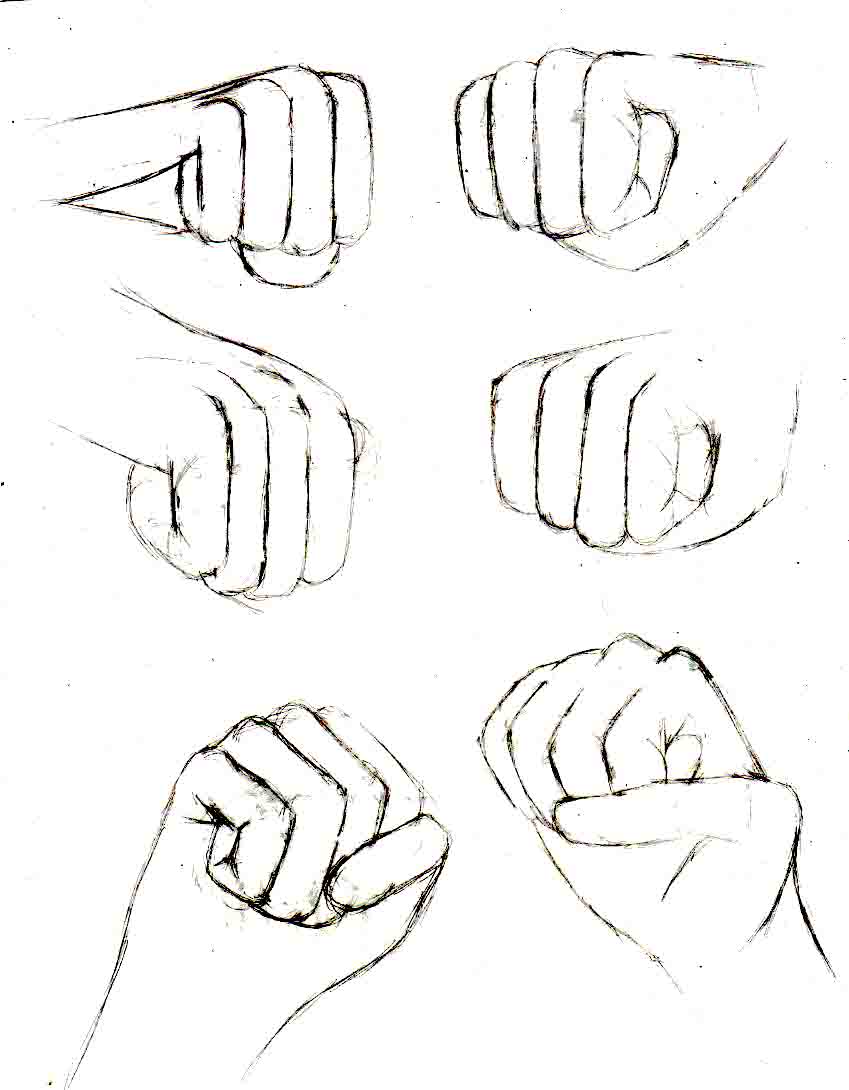 images Hands Drawing Reference Fist hand reference pg fist 2 by oxdarock