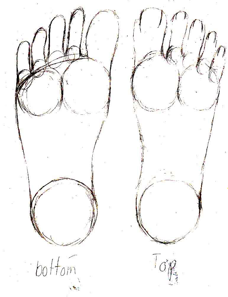 2 Foot Reference feet reference pg 1 by Oxdarock on DeviantArt