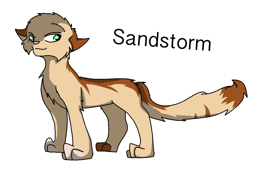 Warrior Cats: #9- Sandstorm