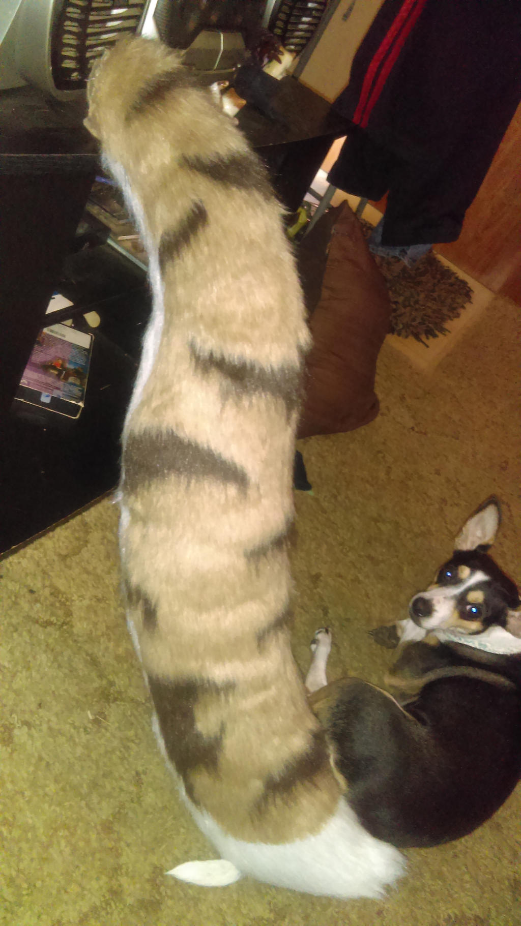 finished tail.