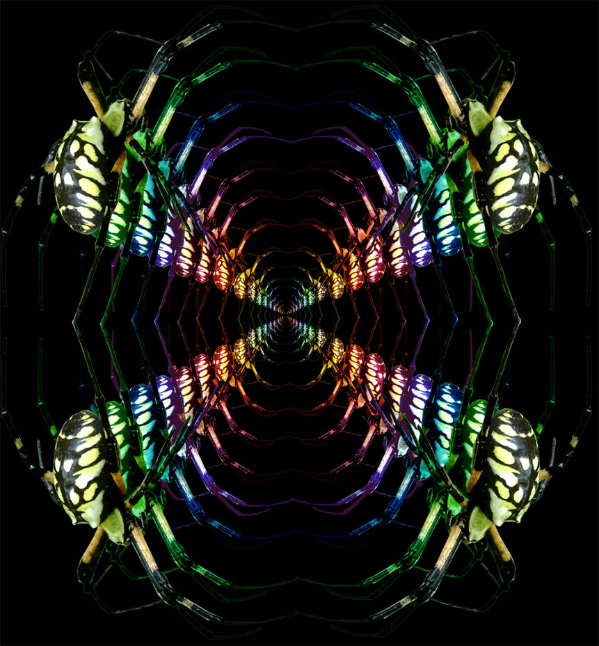Spider Rainbow by X5-648 on DeviantArt