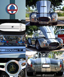 Shelby Cobra . . . or is it?