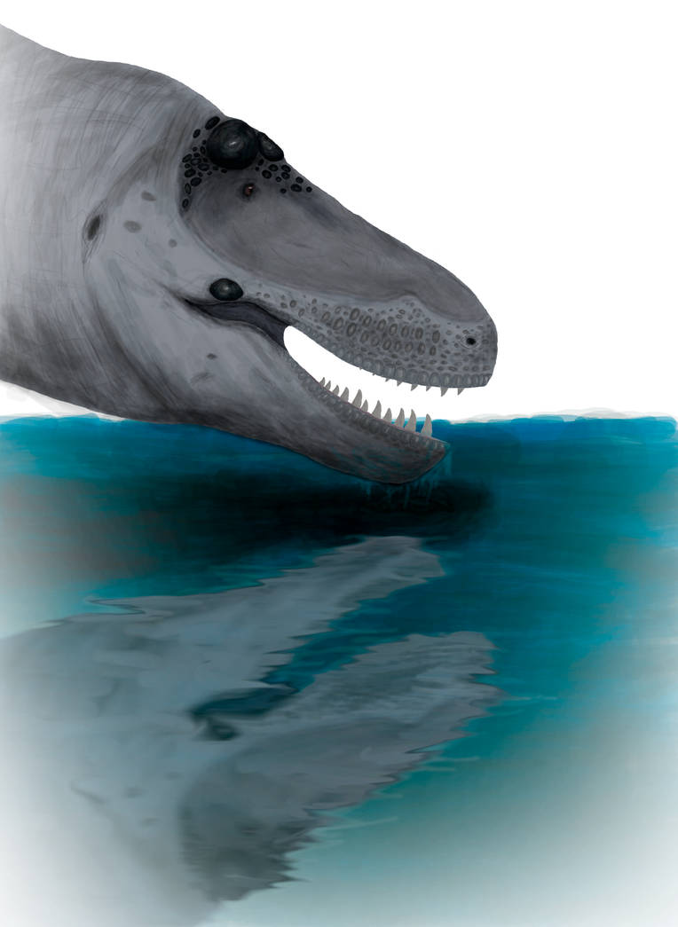 'Distorted' by JCRev4 on DeviantArt