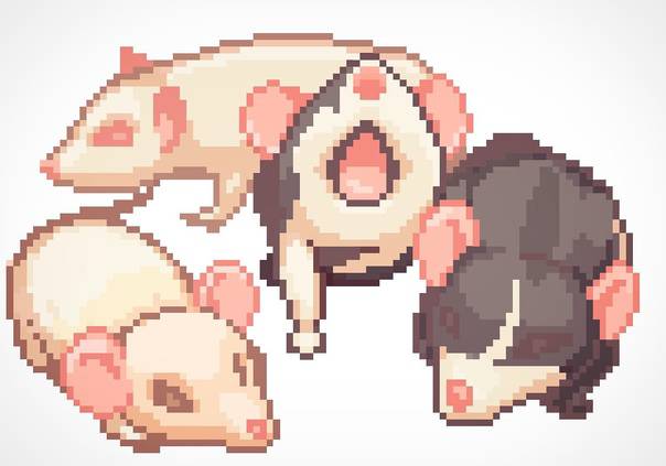 Rat Pixel pixel rats by BishoptyanART on DeviantArt