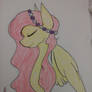 Fluttershy