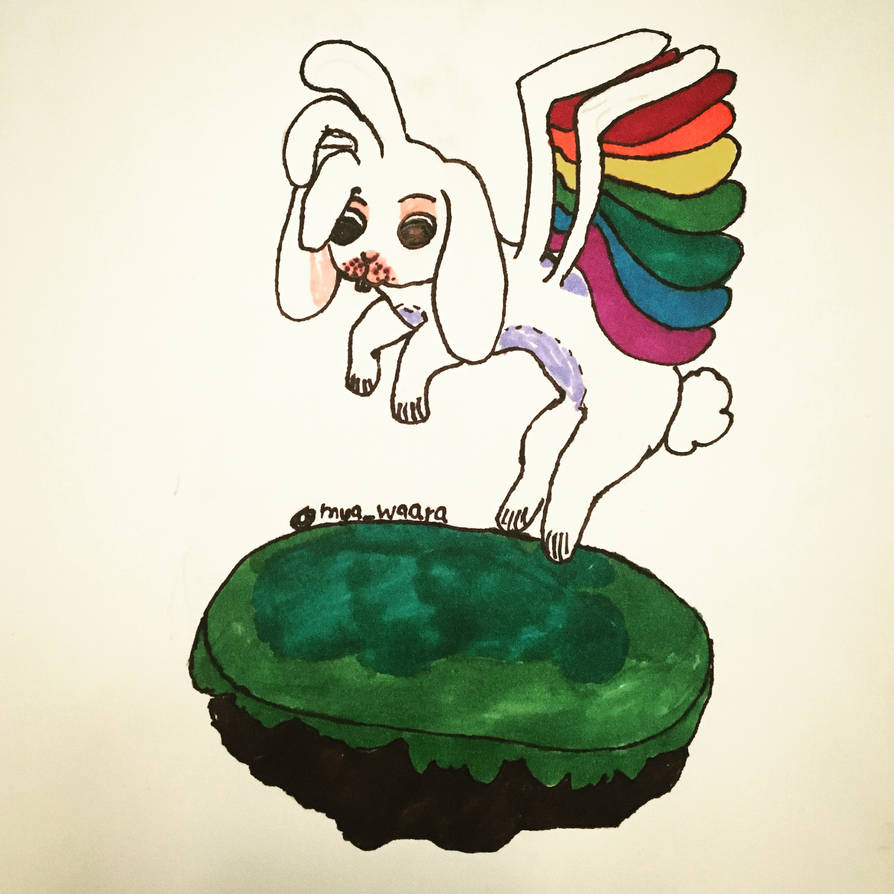 Flying Rabbit Deviantart Flying Rabbit by RebelPapayas on DeviantArt