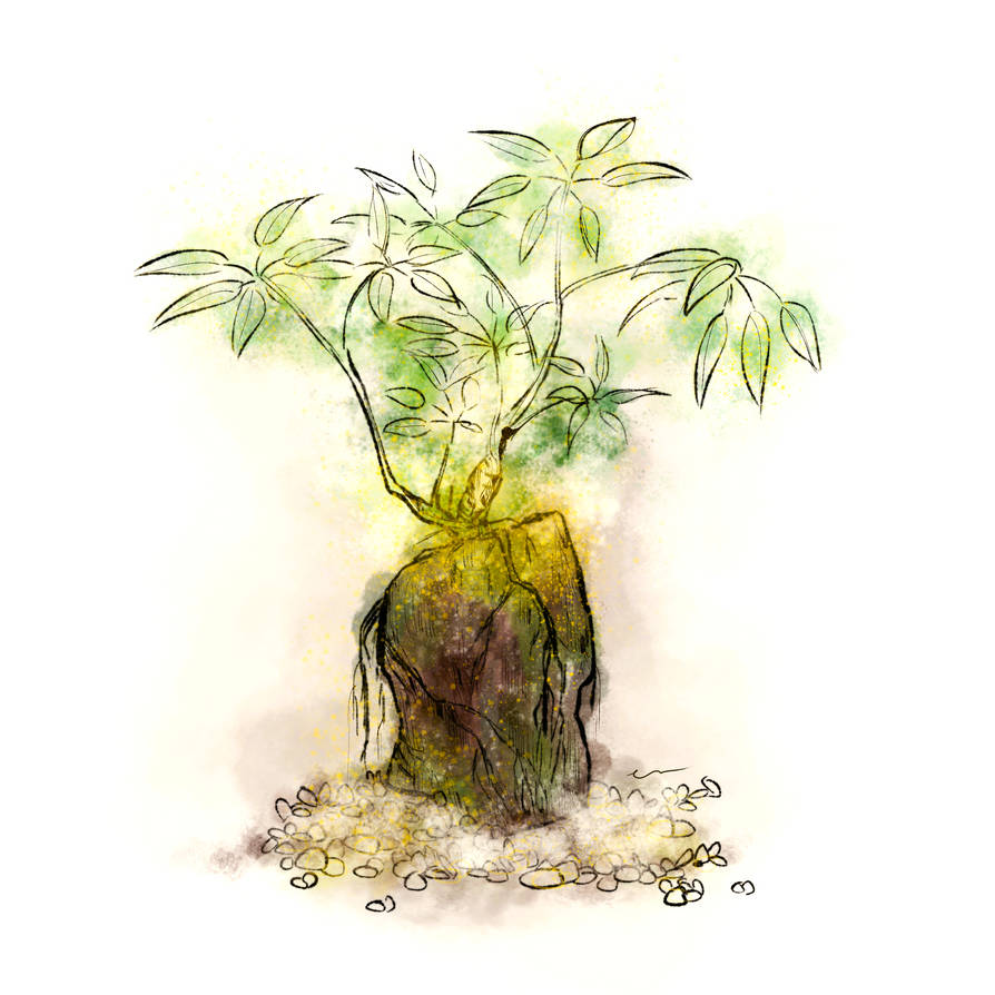 Plant Deviantart Plant 02 by Bethjamin on DeviantArt