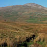 Moel Llyfnant