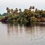 River Nile 1