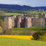 Raglan Castle