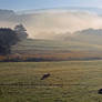 Afon Lledr Valley 5