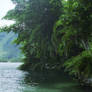 Water's Edge