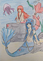 Mermaid Redraw