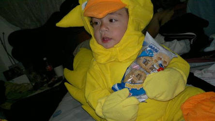 Chocobo baby (V)