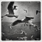 .12.10.28. by dasTOK