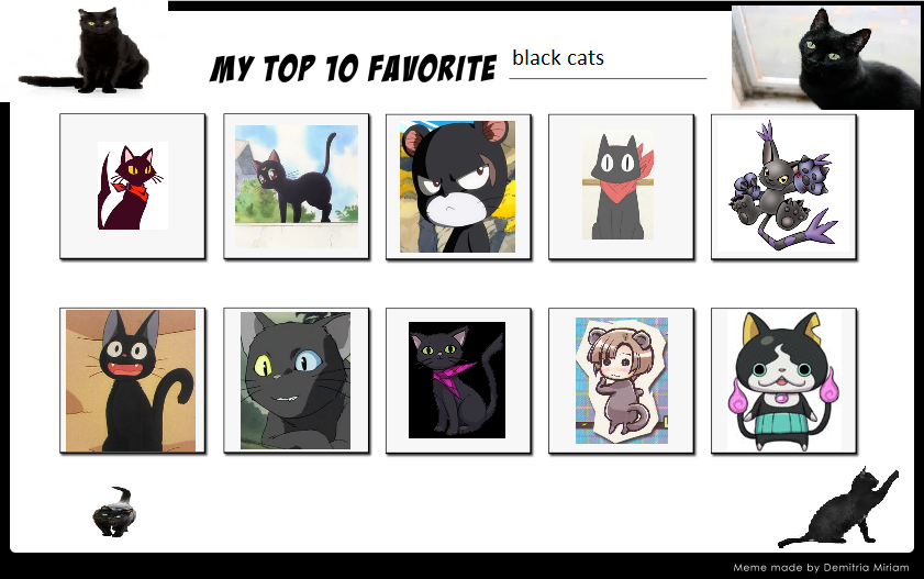 My Top 10 Black Cats