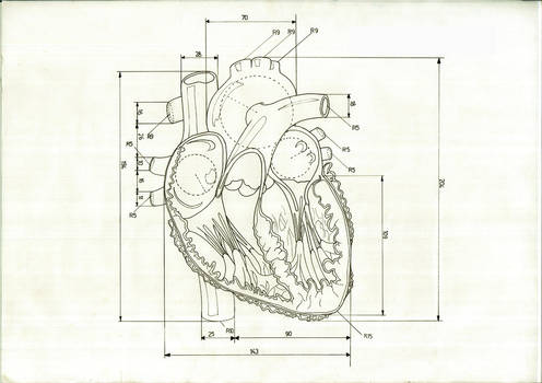 schema