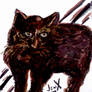 Nicki Cat Drawing