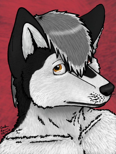 Husky on Colors! 3DS