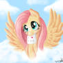 Fluttershy