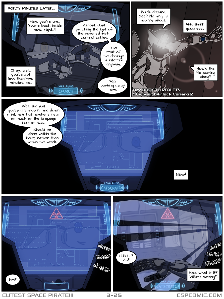 CSP: Chapter 3 Page 25