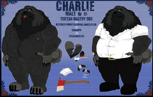 Charlie Nenavidet reference sheet