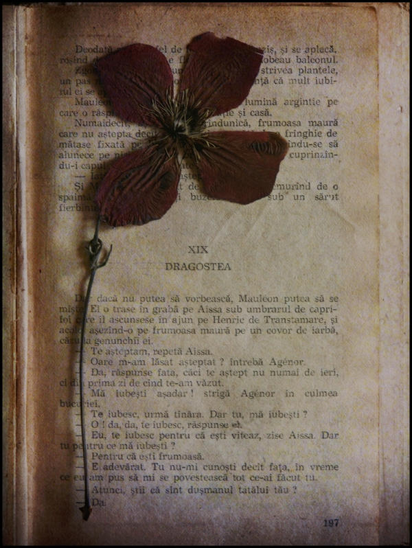 Dead flowers and old books. by Migrena on DeviantArt