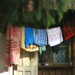 Last Summer's Perfume