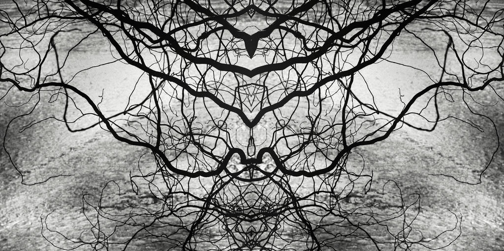 neuronal. noir by Migrena