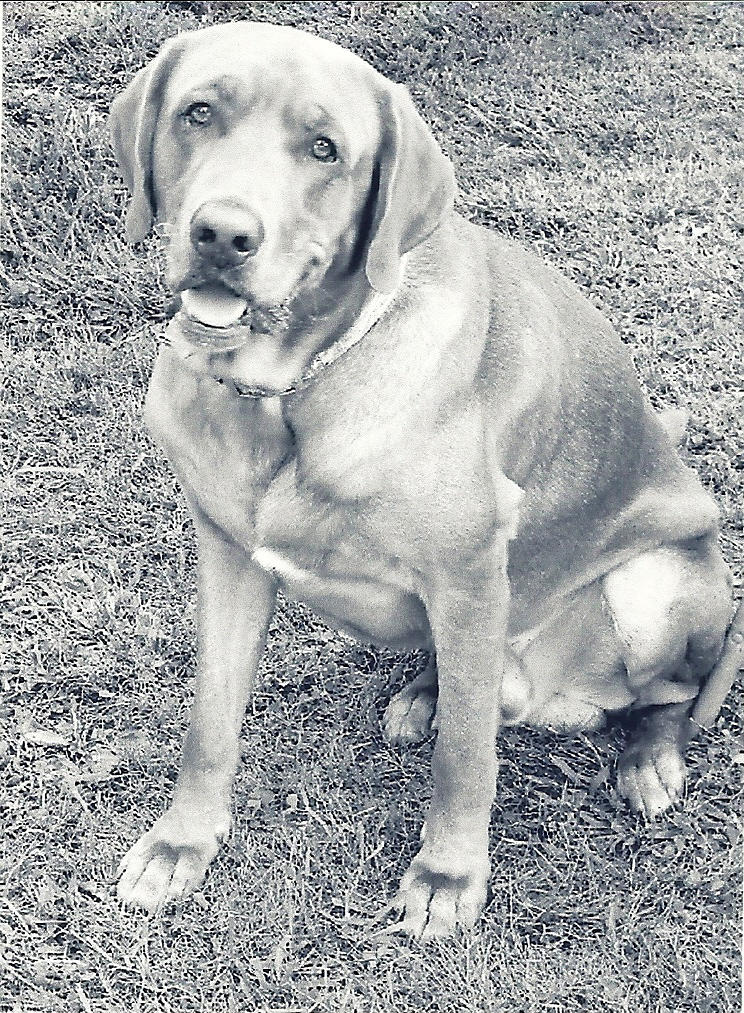 what banks allow discover cash advance