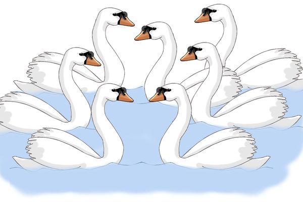 seven swans a swimming clipart cartoon