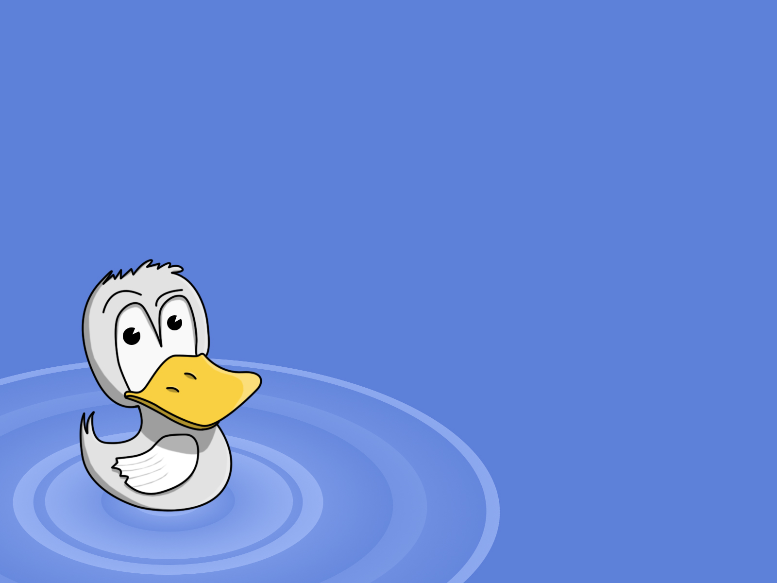 Suspicious Duck Wallpaper