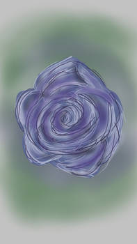 Blue Rose